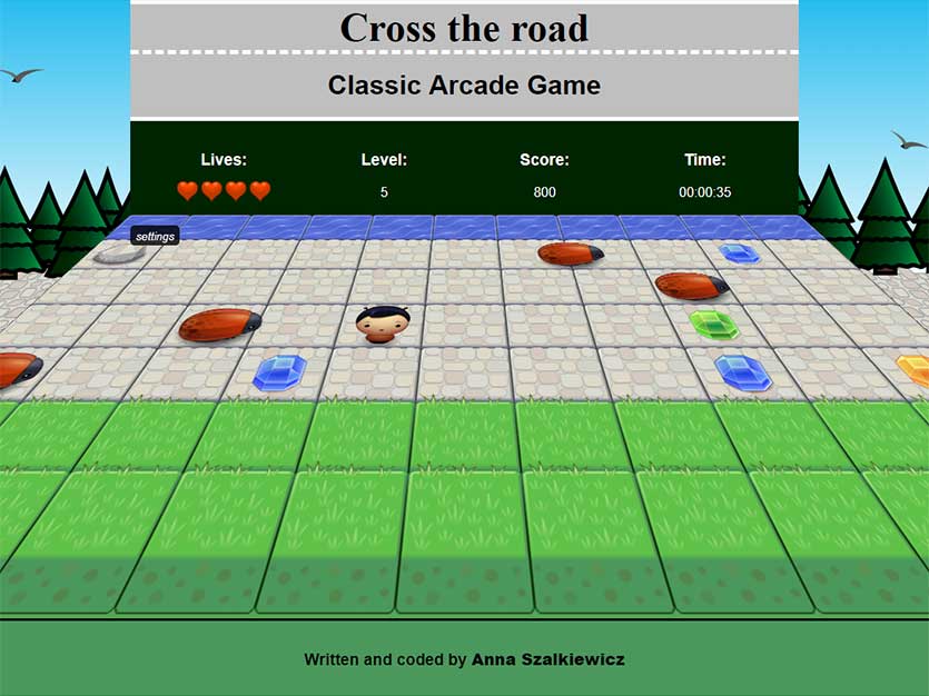 Arcade Game Project